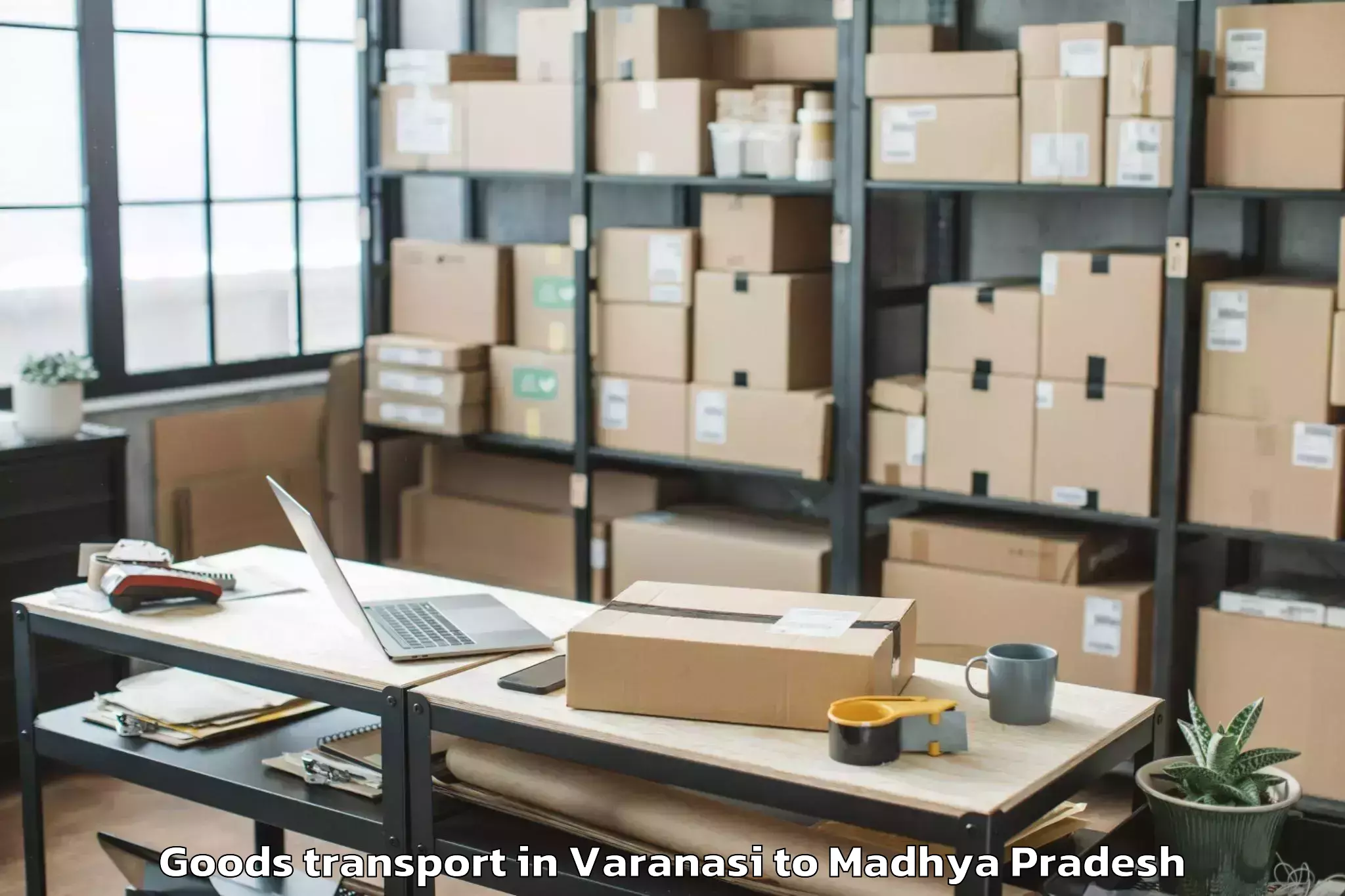 Expert Varanasi to Machalpur Goods Transport